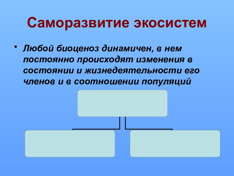 Саморазвитие экосистем сукцессии презентация