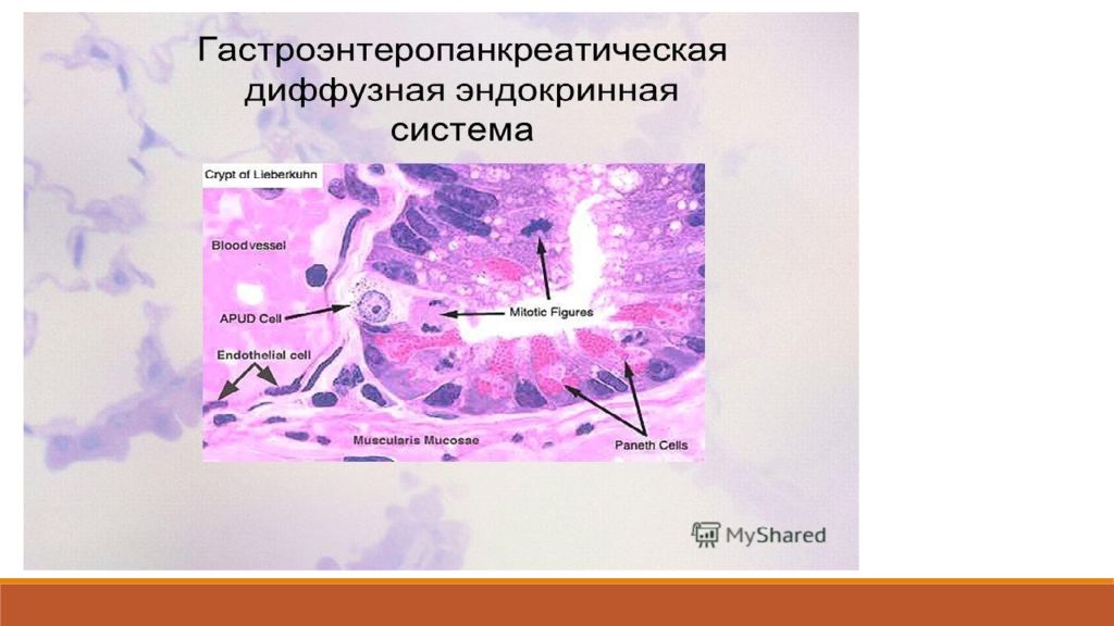 Диффузная строение