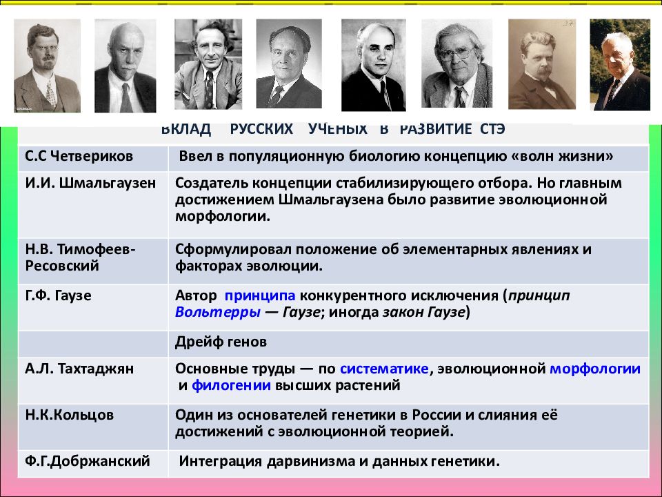 Презентация на тему возникновение и история развития теории эволюции