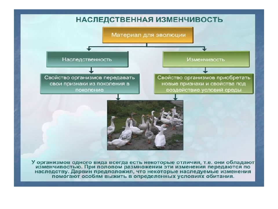 Теория развития биологических понятий. Химическая и биологическая Эволюция.