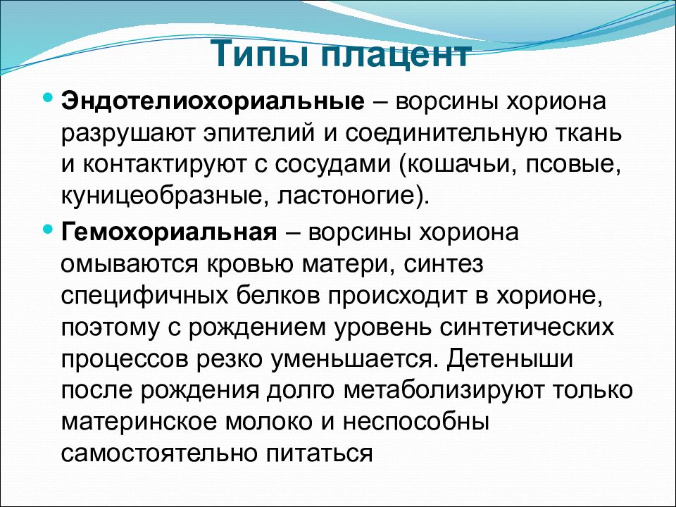 Типы плацент презентация