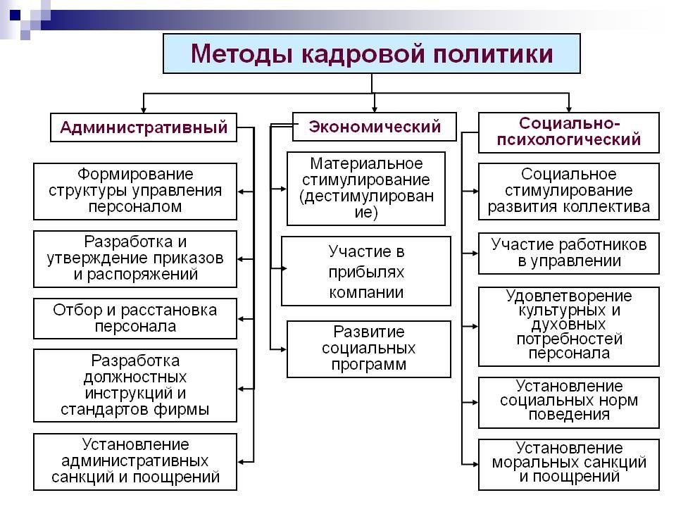 План организации службы персонала