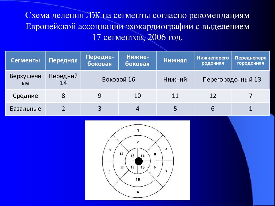 Сегменты миокарда левого желудочка схема