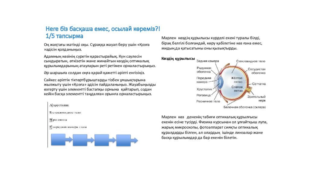 Неге біз басқаша емес, осылай көреміз ?! 1/5 тапсырма