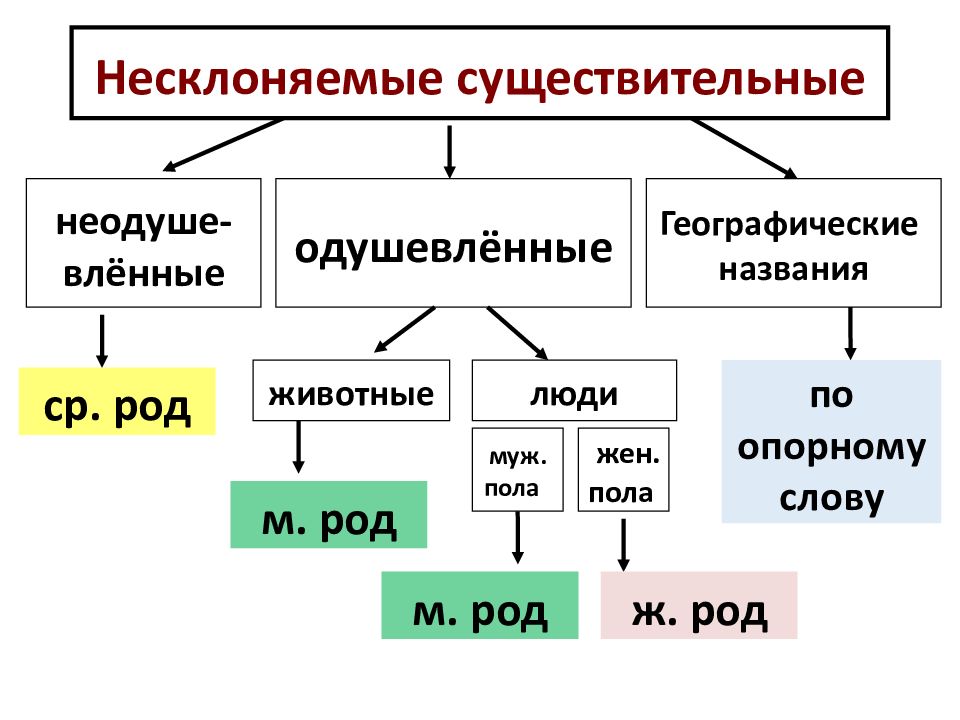 Род несклоняемых имен существительных 5 класс презентация