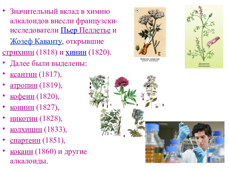 Презентация по теме алкалоиды