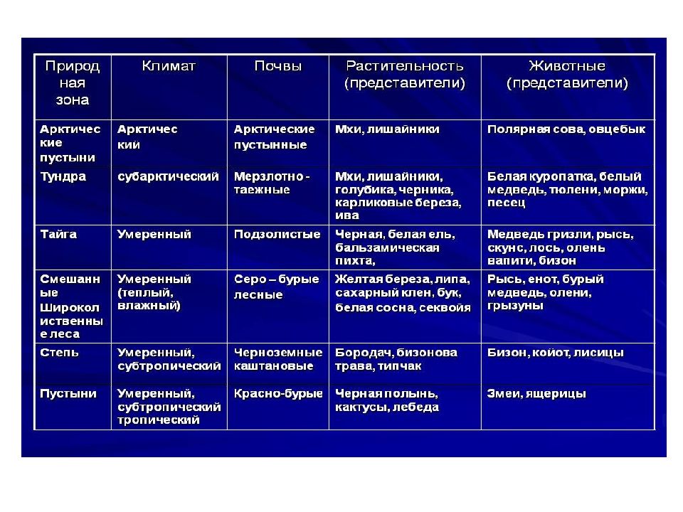 План описания природной зоны тайга 7 класс