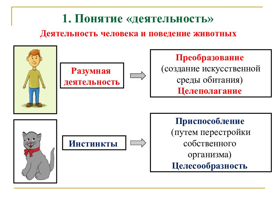 Деятельность человека обществознание презентация