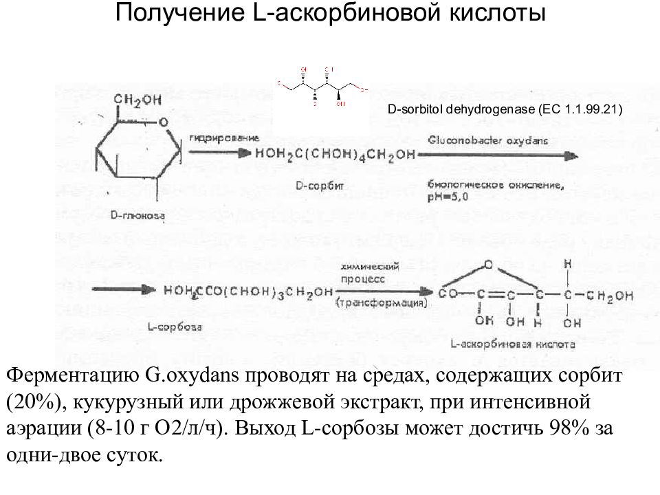 Получение л. Получение аскорбиновой кислоты реакции. Цикл аскорбиновой кислоты. Синтез аскорбиновой кислоты из Глюкозы. Получение l аскорбиновой кислоты.