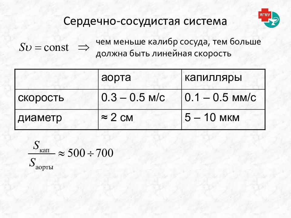 Скорость капилляров