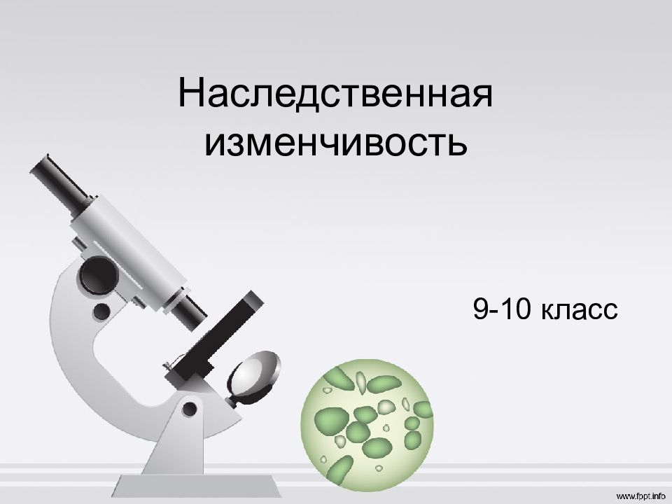 Наследственная изменчивость