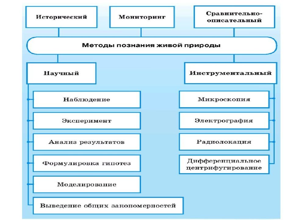 Методы исследования в проекте по биологии