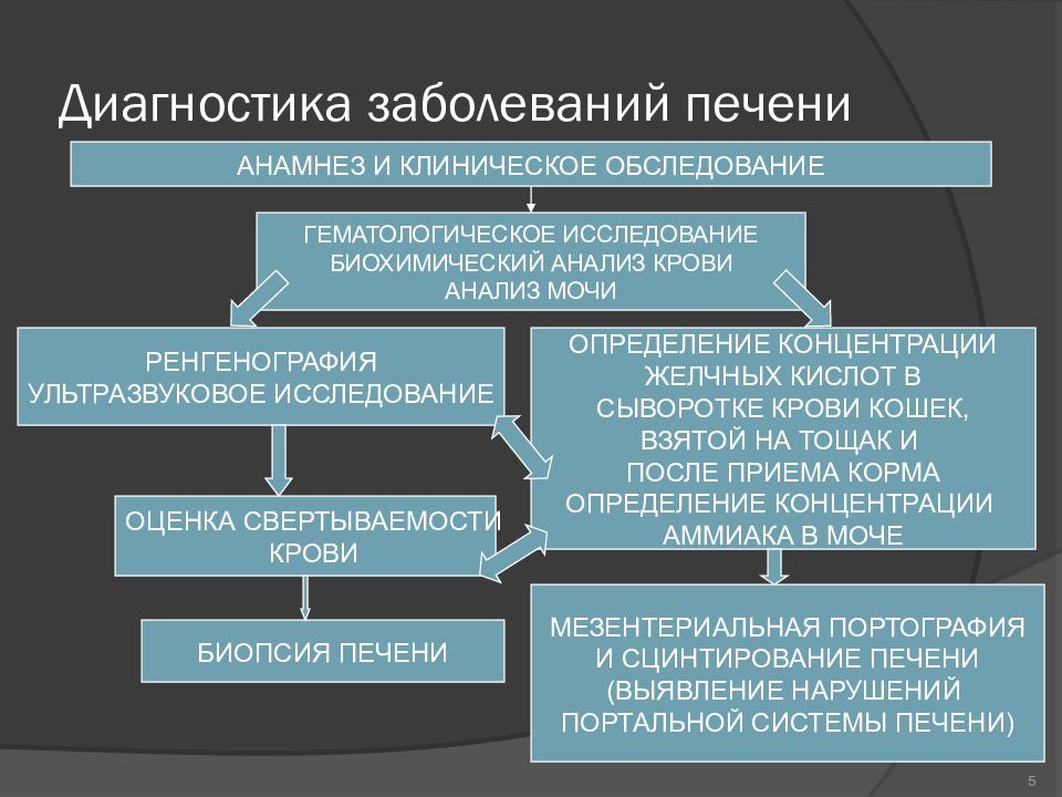 Диагностика поражения печени