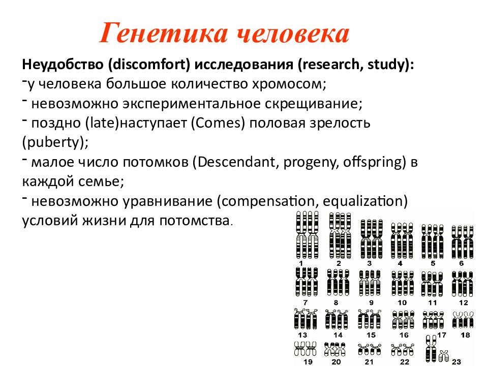 Генетика человека Неудобство ( discomfort ) исследования ( research, study ): у