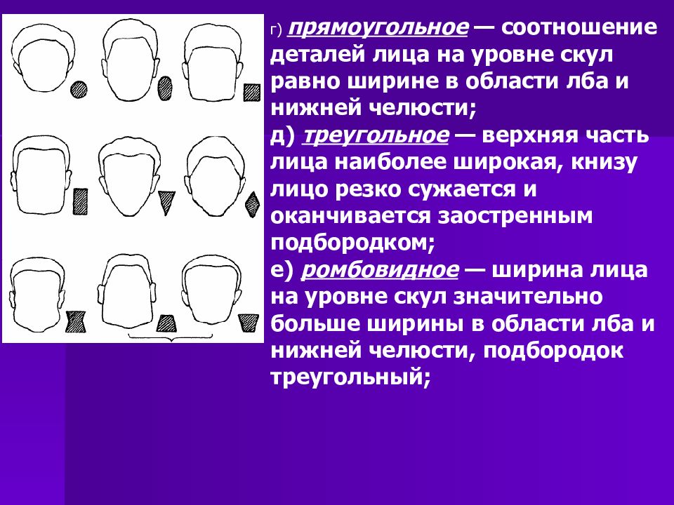 Габитоскопия в криминалистике. Габитоскопия презентация. Криминалистическая габитоскопия презентация. Форма лица габитоскопия.