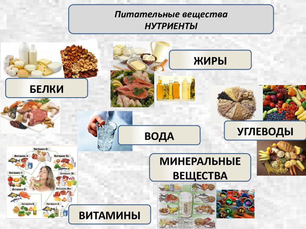 Витамины вода минеральные вещества