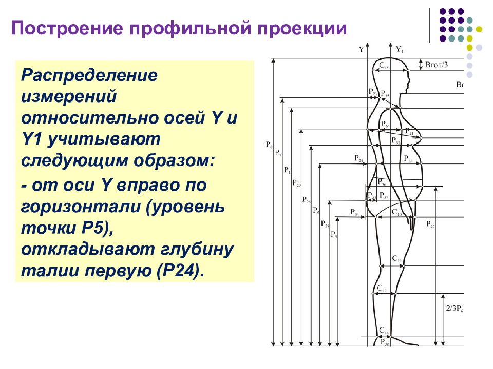 Уровень точка. Оси относительно человека. Проекция распределение. Глубина талии первая. Глубина талии в построение.