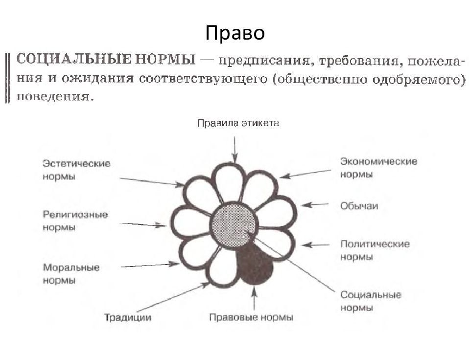 Обществознание социальные нормы презентация 9 класс обществознание