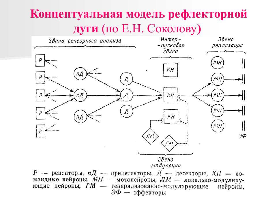 Укпсл нейрон схема