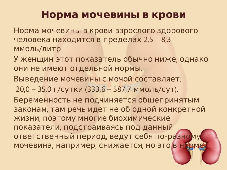 4 ммоль. Мочевина показатели нормы в крови. Анализ крови мочевина норма у женщин. Мочевина 3.2 ммоль/л. Норма мочевины в крови человека.