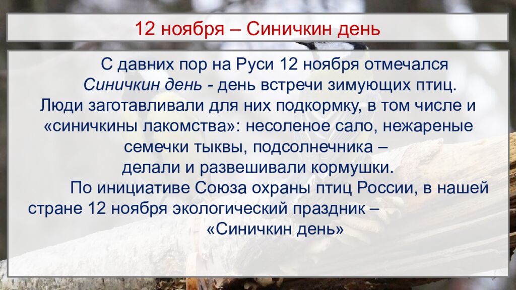 12 ноября – Синичкин день