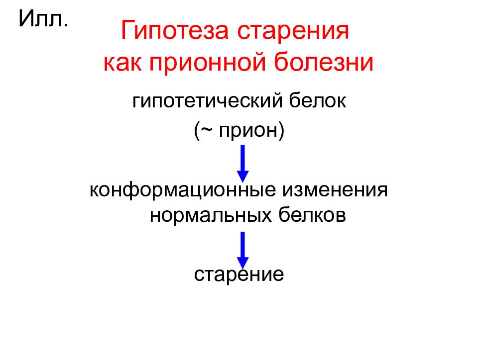 Прионные болезни презентация