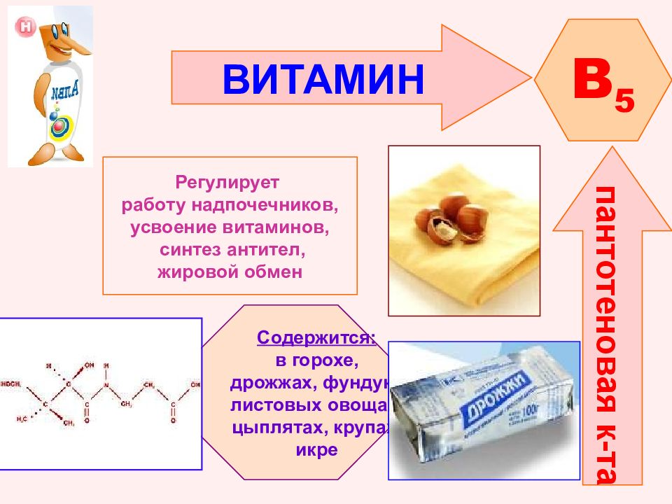 Синтез витаминов. Усвояемость витаминов. Усваиваемость витаминов. Усвояемость витаминов в организме. Усваивание витаминов в организме.