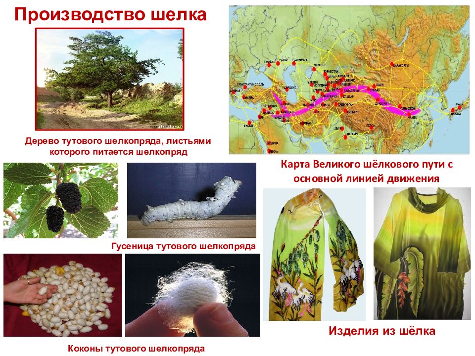 Шелк китайский презентация