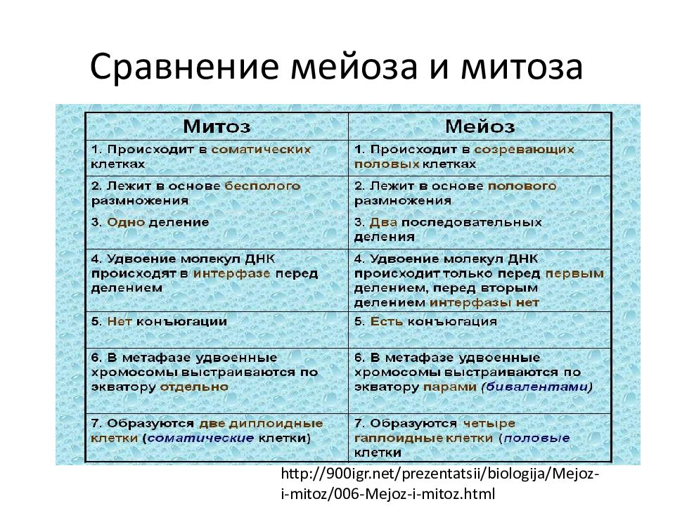 Митоз и мейоз сравнение. Сходства и различия митоза и мейоза в таблице 9 класс. Митоз и мейоз сравнение и различие. Отличие митоза от мейоза таблица 9 класс. Мейоз и митоз сравнительная таблица.