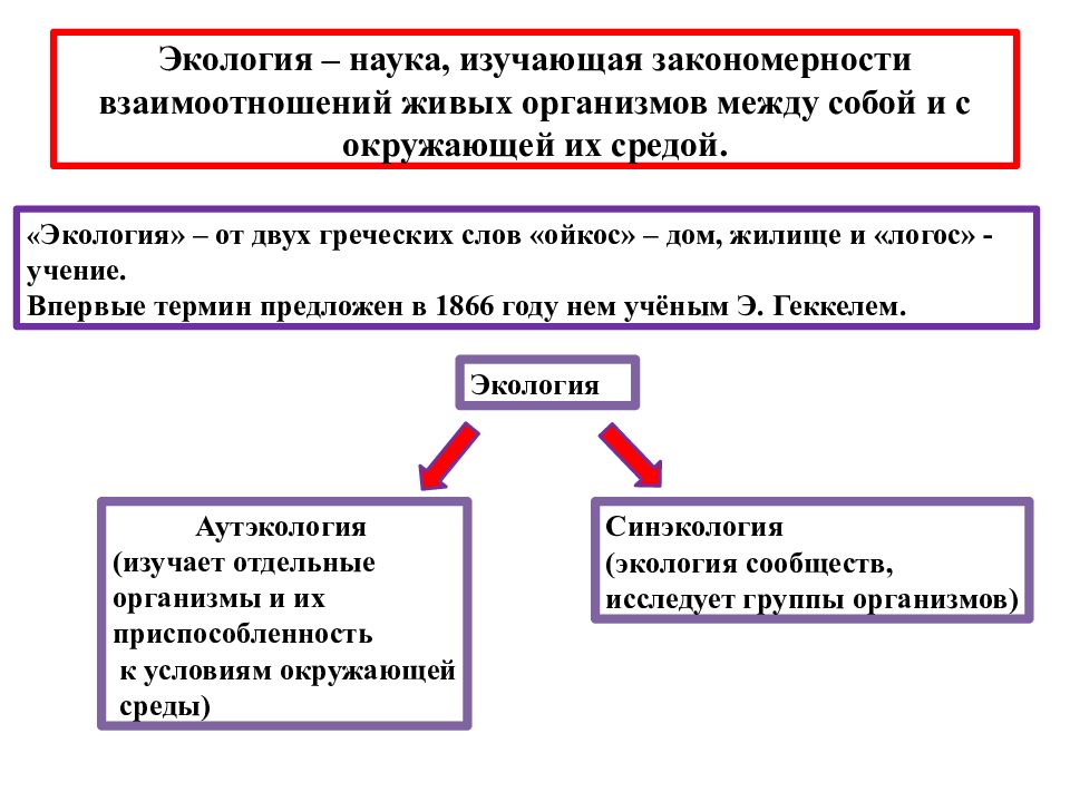 Взаимосвязь организмов и окружающей среды 9 класс проект