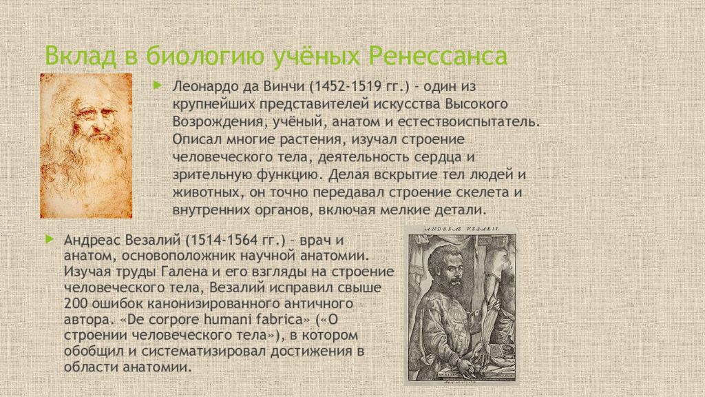 Ученые биологию человека. Вклад в биологию. Ученые анатомы. Ученые внесшие вклад в биологию. Вклад ученых в развитие биологии.