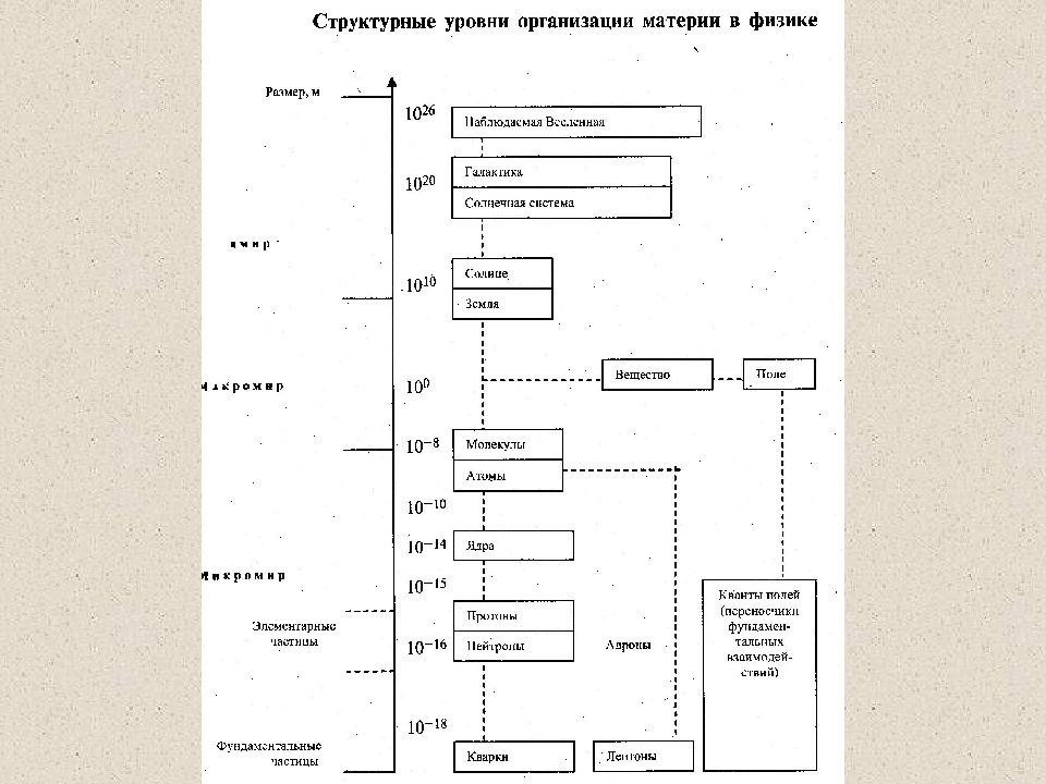 Система организации материи. Структурные уровни организации материи материи. Структурные уровни и системная организация материи. Уровни организации материи в философии. Схема уровни организации материи философия.