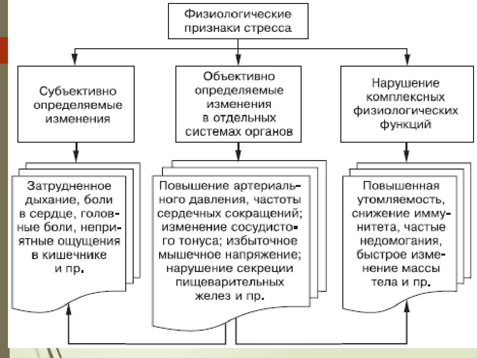 Стресс физиология презентация