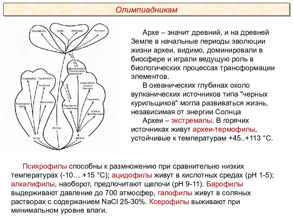 Какие особенности строения жизнедеятельности