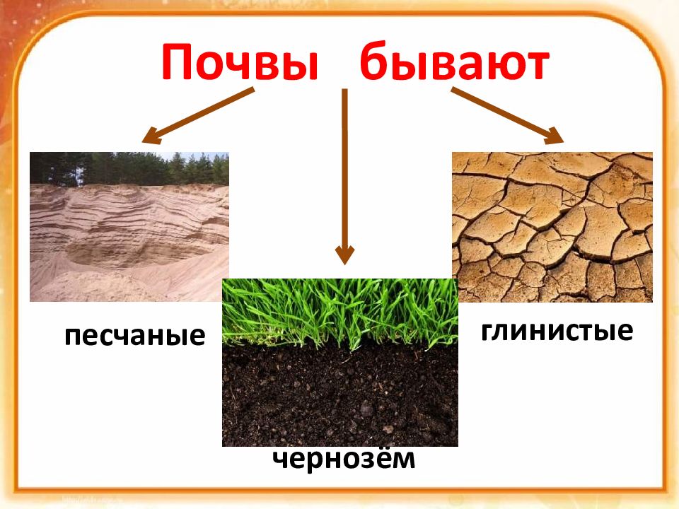 О каком свойстве почвы идет речь. Почва для дошкольников. Почвы бывают. Разнообразные типы почвы.