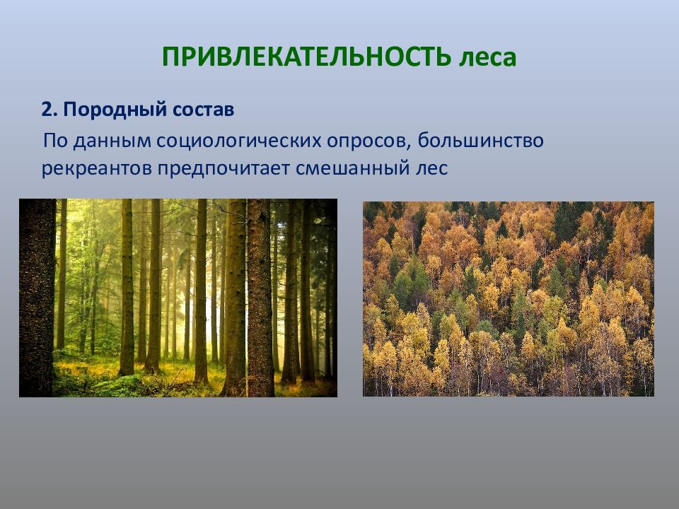 презентация на тему лесное хозяйство. многолетние насаждения это определение. рекреационное значение леса. рекреационная оценка лесов. в чем состоит рекреационное значение лесов.