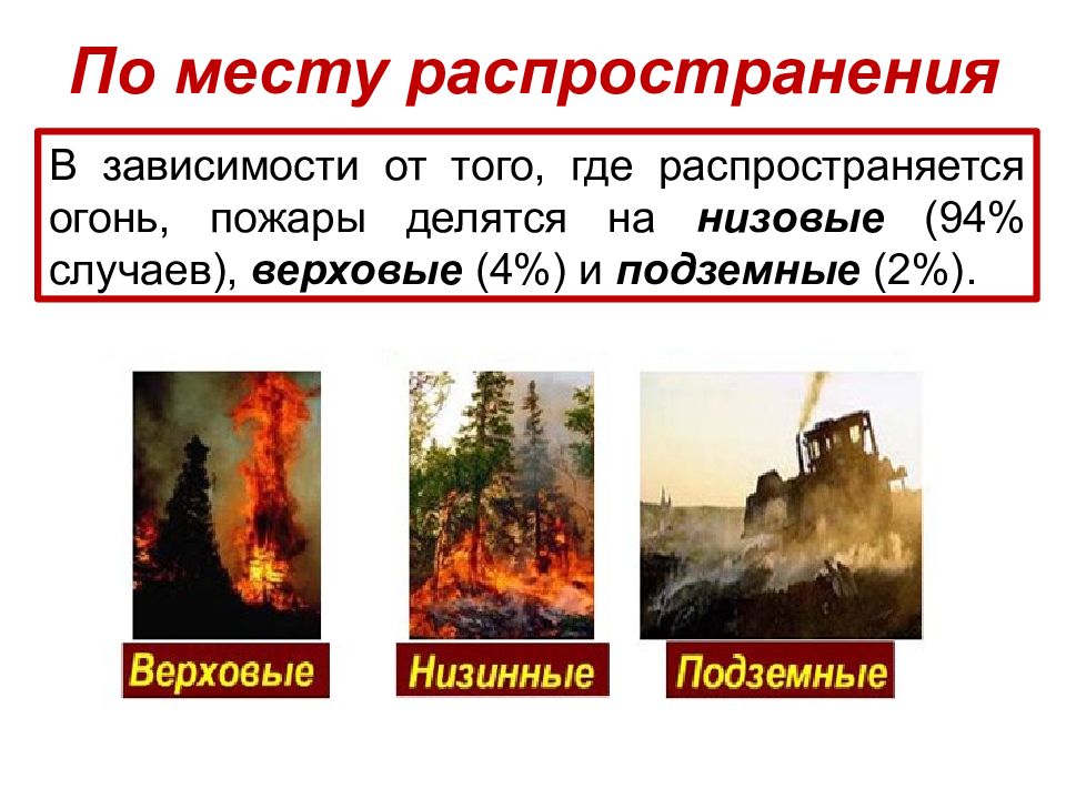 Презентация лесные пожары 3 класс