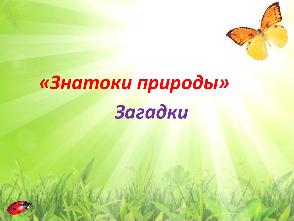 Знатоки природы. Знатоки природы презентация. Фон детский знатоки природы. Знатоки природы викторина для начальной школы.