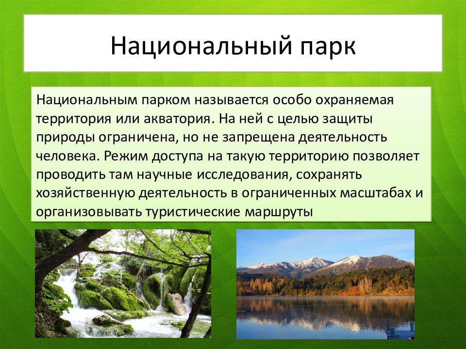 Особо охраняемые природные территории и их значение в охране природы проект