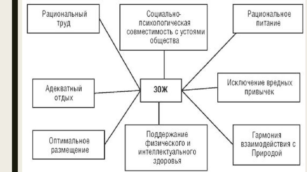 Рациональное общество. Оптимальное размещение это в ЗОЖ. Общество рациональной моды.