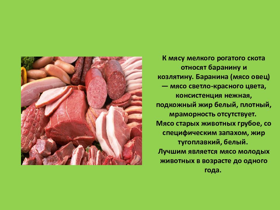 Презентация на тему мясо и мясо продукты