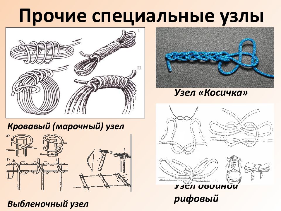 Презентация морские узлы