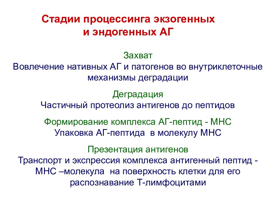 Дефекты процессинга и презентации опухолевых аг характеристика