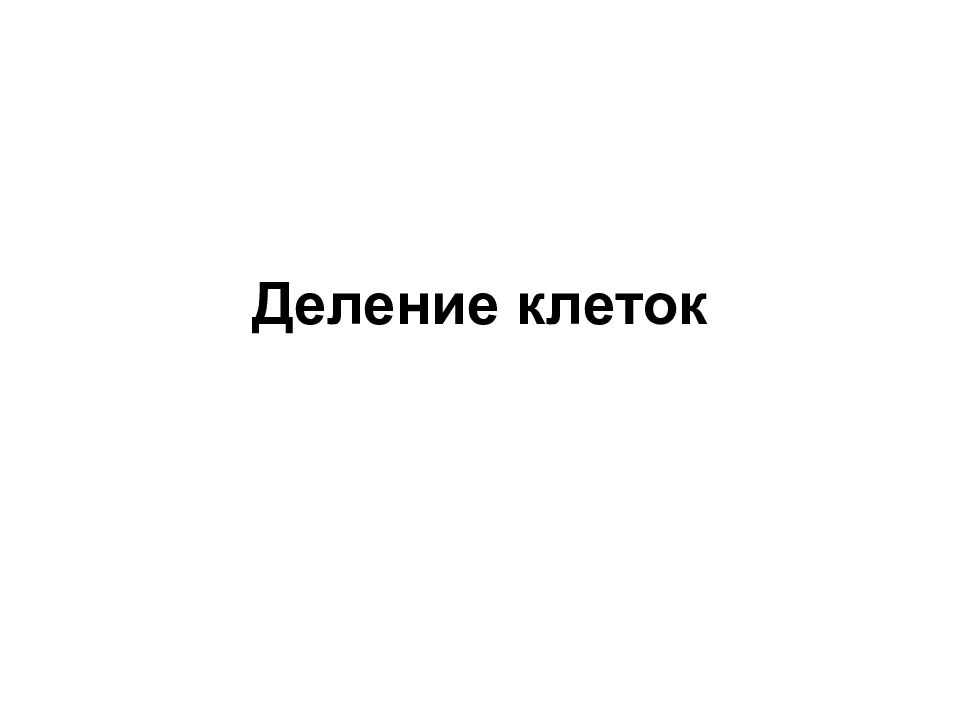 Деление клеток