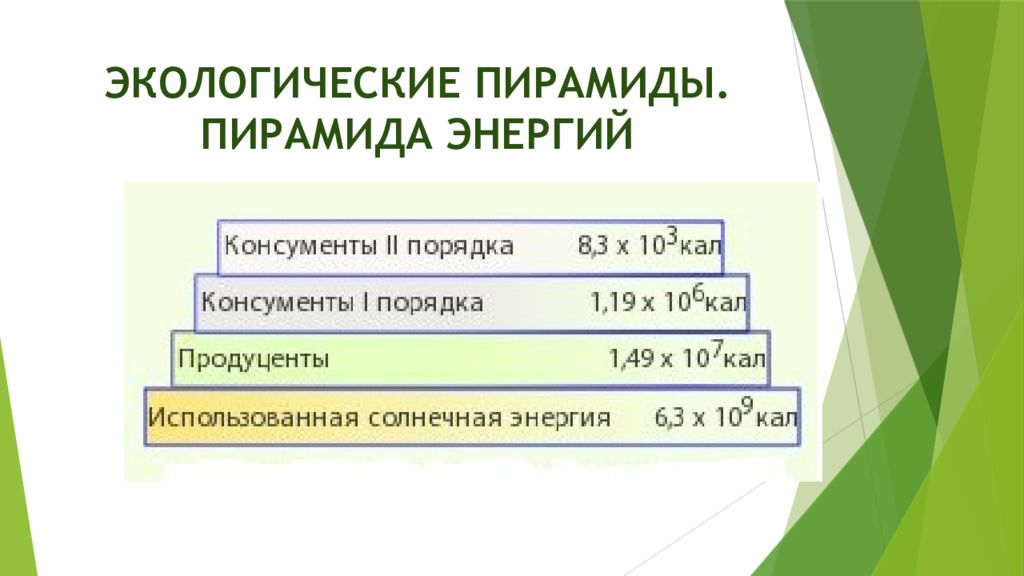 Пирамиды энергии задачи