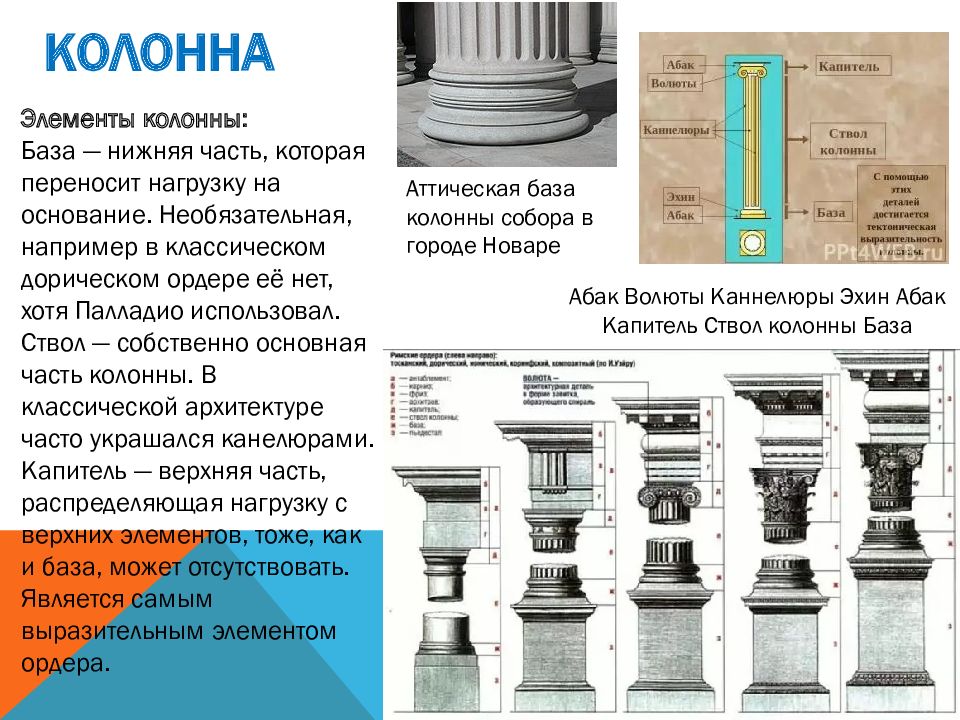 Основание база. Ствол база Капитель части колонны. Элементы базы колонны архитектура. Состав колонны архитектура. Колонна и ее составные части.