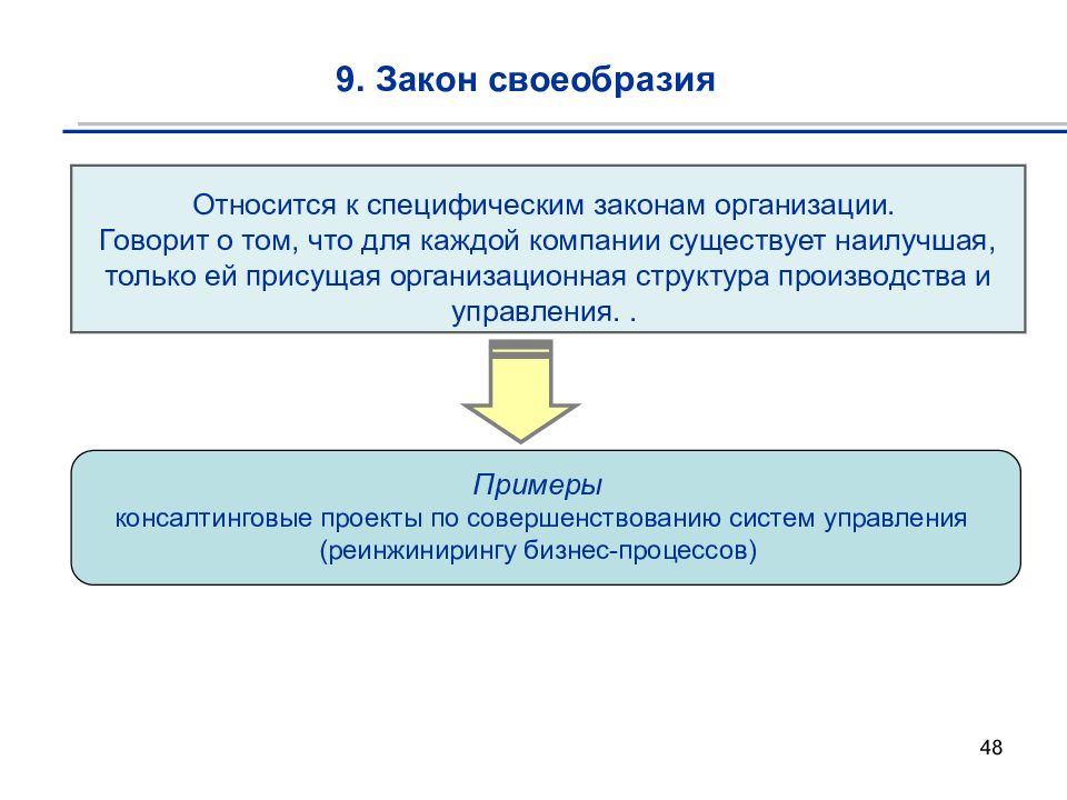 Теория организации пример