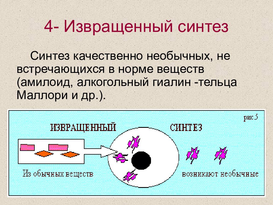 Синтез признаков. Извращенный Синтез. Извращенный Синтез это в патологии. Извращенный Синтез патанатомия. Дистрофия извращённый Синтез.