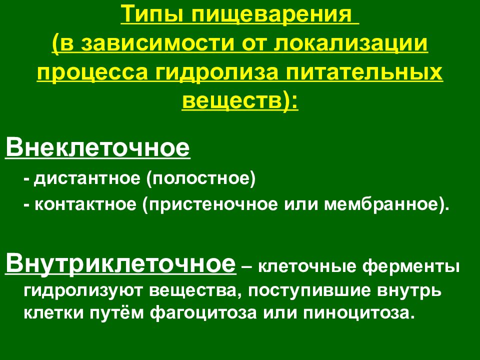 Гидролитические ферменты. Типы пищеварения в зависимости. Типы пищеварения в зависимости от локализации. Разновидности внеклеточного пищеварения. Три вида процесса пищеварения.