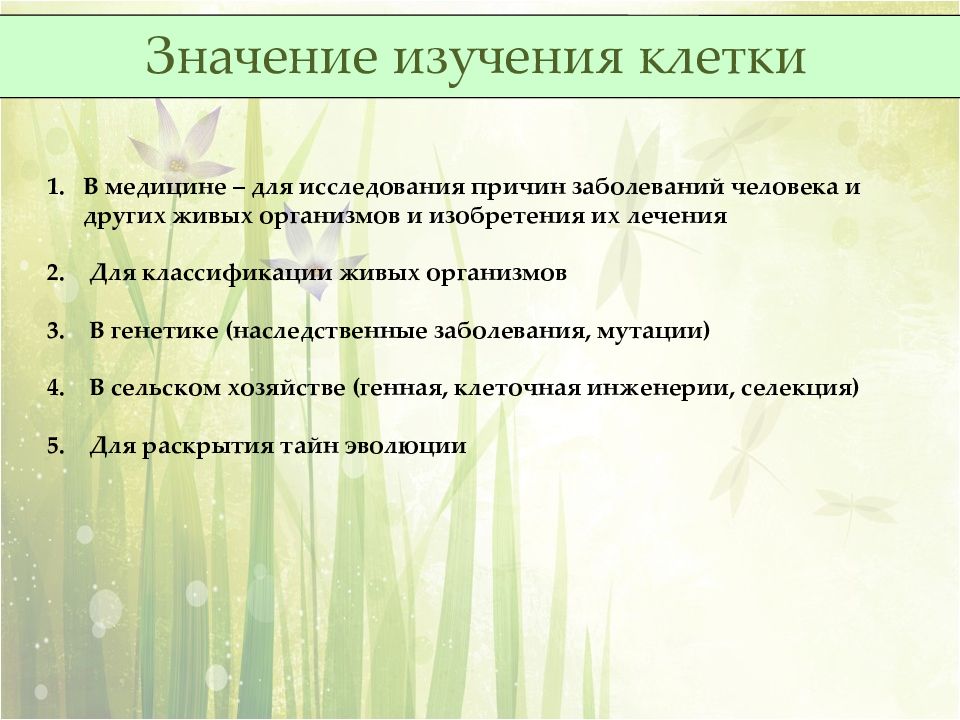 Изучение клеточной теории. Изучение клетки. Значение изучения клетки. Значение изучения клетки для биологии. История изучения клетки план.